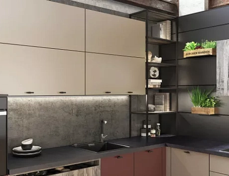 Красная кухня в Санкт-Петербурге